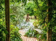 Discover the Charm of Sedgefield Garden Apartments - Your New Home Awaits!