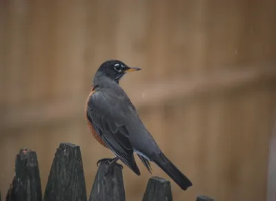 Discover Affordable Apartments Near You