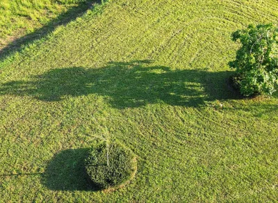 Explore the Charm of Sedgefield Garden Apartments - Affordable & Convenient Living