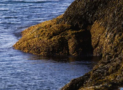 Find Affordable Apartments Near Me! Discover Your Dream Home Today!