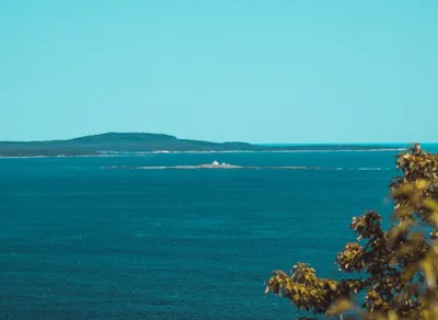 Discover Luxurious Senior Apartments in Your Area