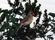 Find Affordable Apartments for Rent Near You Now!