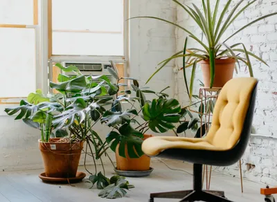 Discover Affordable Microfiber Recliner Chair at Costco