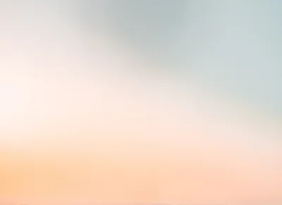 Unlock Affordable Housing Opportunities: Section 8 Options for Eligible Applicants