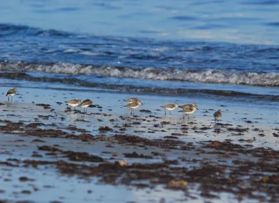 Discover Budget-Friendly Apartments in Your Area