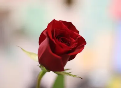 Upgrade Your Sleep with a King Single Mattress - Find the Perfect Fit!