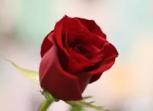 Upgrade Your Sleep with a King Single Mattress - Find the Perfect Fit!