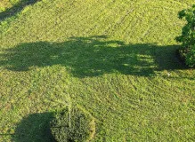 Explore the Charm of Sedgefield Garden Apartments - Affordable & Convenient Living