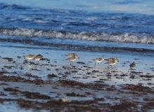 Discover Budget-Friendly Apartments in Your Area