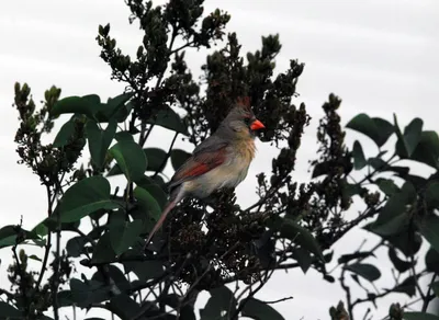 Find Affordable Apartments for Rent Near You Now!