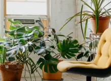 Discover Affordable Microfiber Recliner Chair at Costco