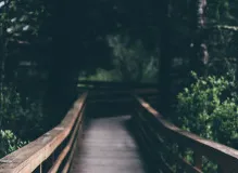 Breaking News: Real-Time Oregon Map of Devastating Flat Fire Unveiled