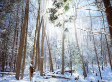 Upgrade Your Sleep with a Premium King Single Mattress - Choose Comfort Today!