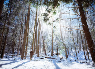 Upgrade Your Sleep with a Premium King Single Mattress - Choose Comfort Today!