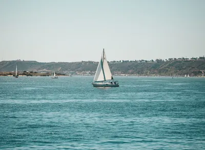 Discover the Best Apartments for Rent in San Diego: Find Your Dream Home Today!