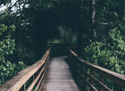 Breaking News: Real-Time Oregon Map of Devastating Flat Fire Unveiled