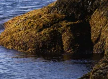 Find Affordable Apartments Near Me! Discover Your Dream Home Today!